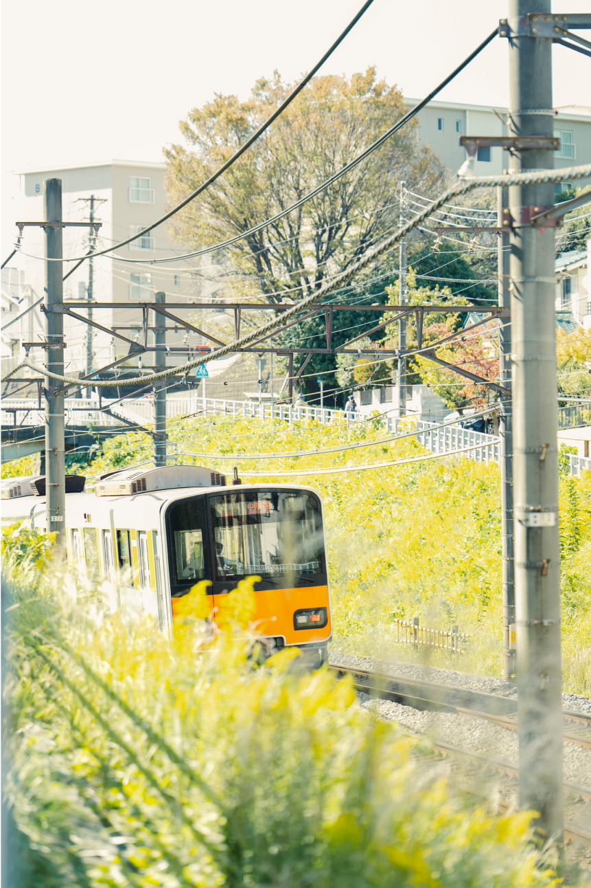 電車と菜の花